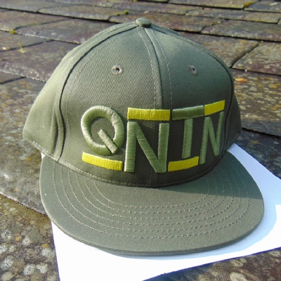 Quintin Co Snapback Business Green